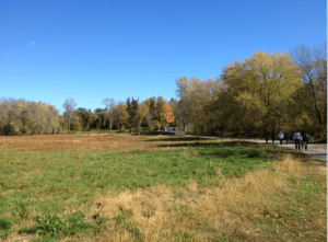 Screen Shot 2014-10-31 at 9.21.16 AM