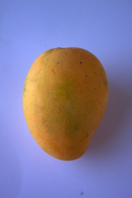 Alphonso Mango by PDPics
