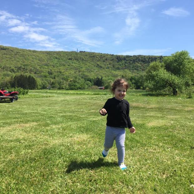 18527695_10156103160423219_6029817147234561047_n